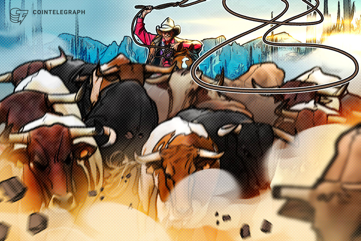 What will drive crypto’s likely 2024 bull run?