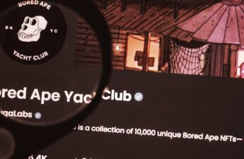 Bored Ape Yacht Club Community Council Formed by Yuga Labs