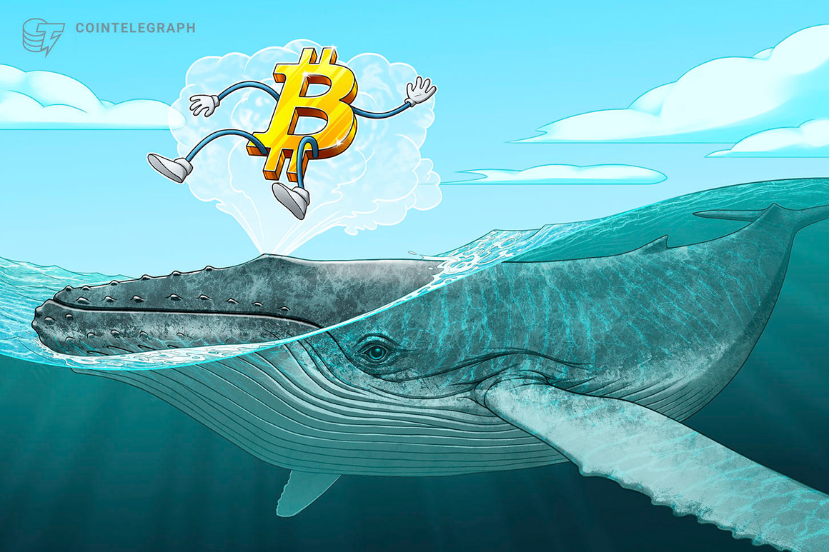 Capitulation or profit-taking? Bitcoin whale moves 32K BTC dormant since 2018