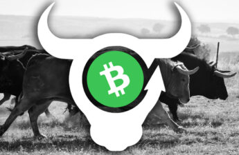 Decentralized App BCH Bull Prepares for Launch, Platform Allows Users to Long or Hedge Bitcoin Cash Against a Myriad of Tradeable Assets