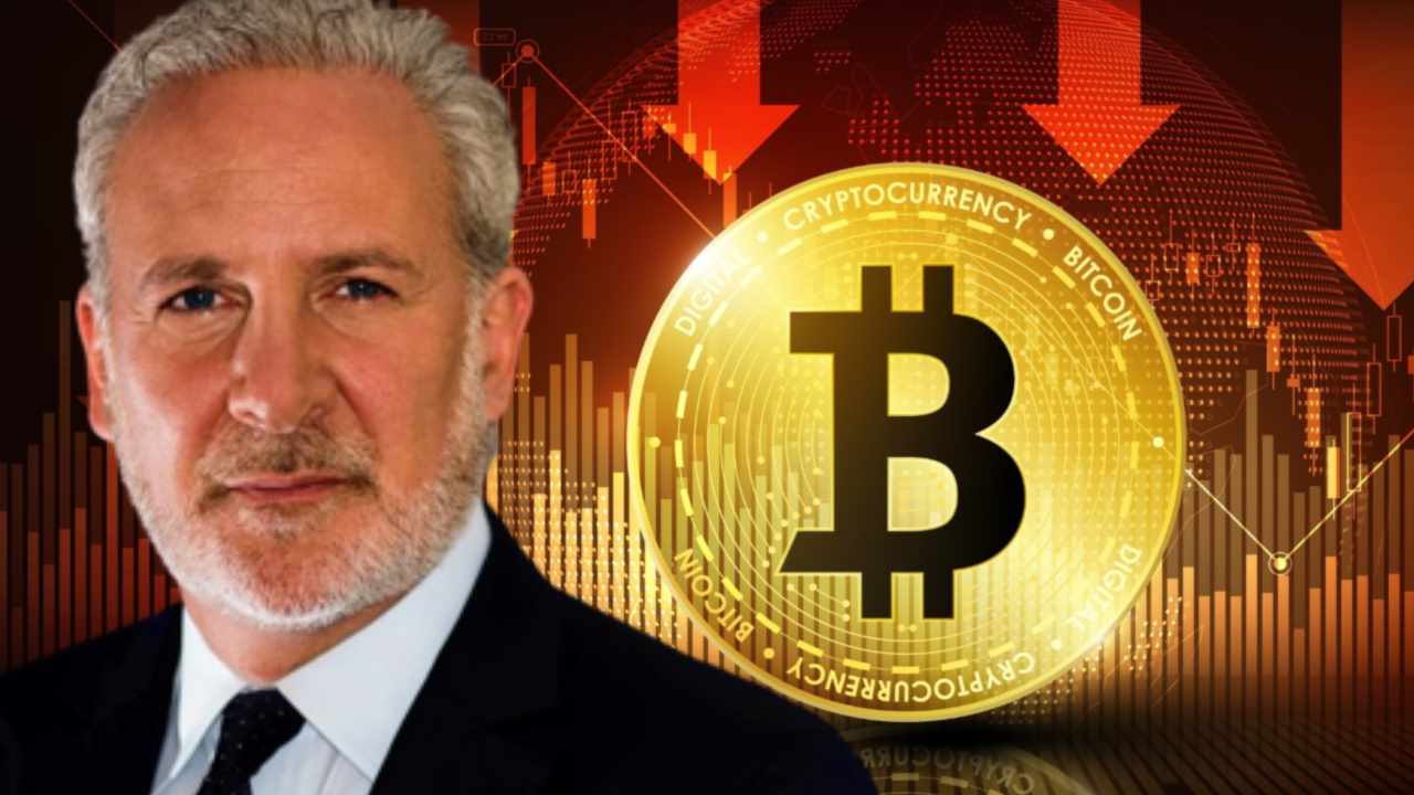 Economist Peter Schiff Warns Bitcoin May Not Rise When Other Financial Assets Rebound – Markets and Prices Bitcoin News