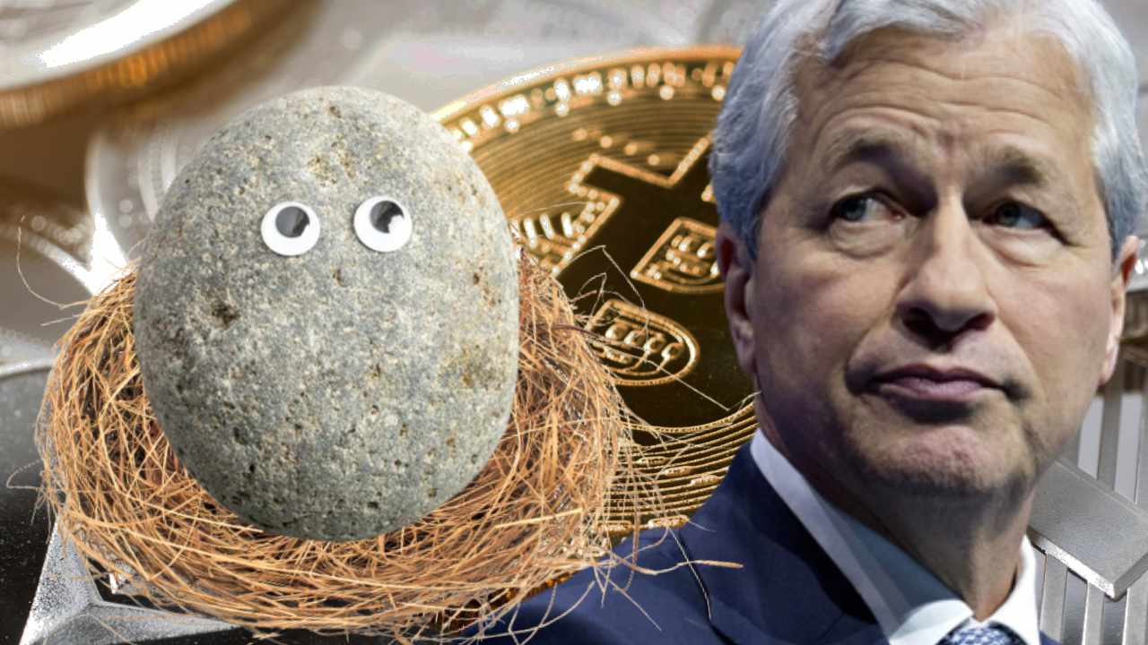 JPMorgan Chase CEO Jamie Dimon Likens Crypto to Pet Rocks — Calls for More Regulation