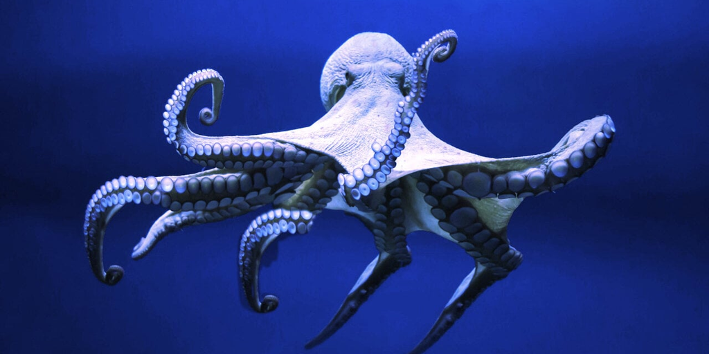 NEAR Protocol Project Octopus Network Lays Off 40% of Team