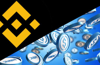 Binance Increases USDC Holdings as BUSD's Market Cap Slides Lower – Bitcoin News