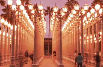 LACMA Art Museum Acquires NFT Collection With CryptoPunk, Art Blocks