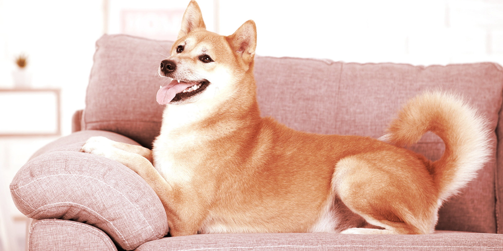 PleasrHouse Auctioning Couch from Original Doge Meme