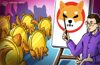 Shiba Inu price rebounds 100% after record lows against Dogecoin — More upside ahead?