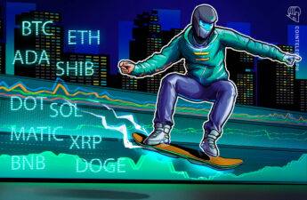 BTC, ETH, BNB, XRP, ADA, DOGE, MATIC, SOL, DOT, SHIB