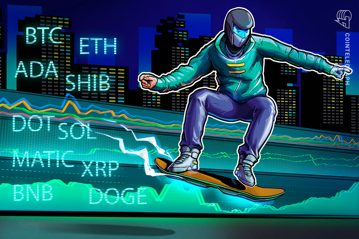 BTC, ETH, BNB, XRP, ADA, DOGE, MATIC, SOL, DOT, SHIB