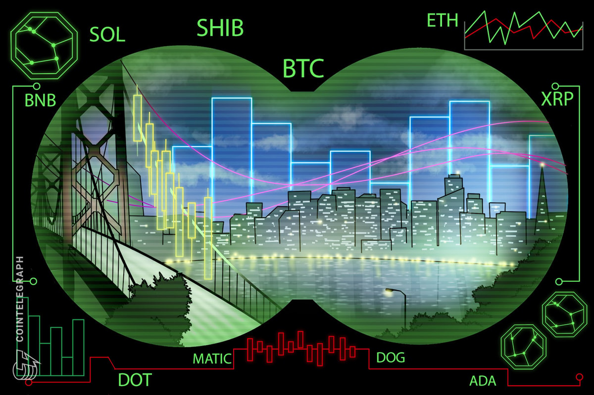 BTC, ETH, BNB, XRP, ADA, DOGE, MATIC, SOL, DOT, SHIB