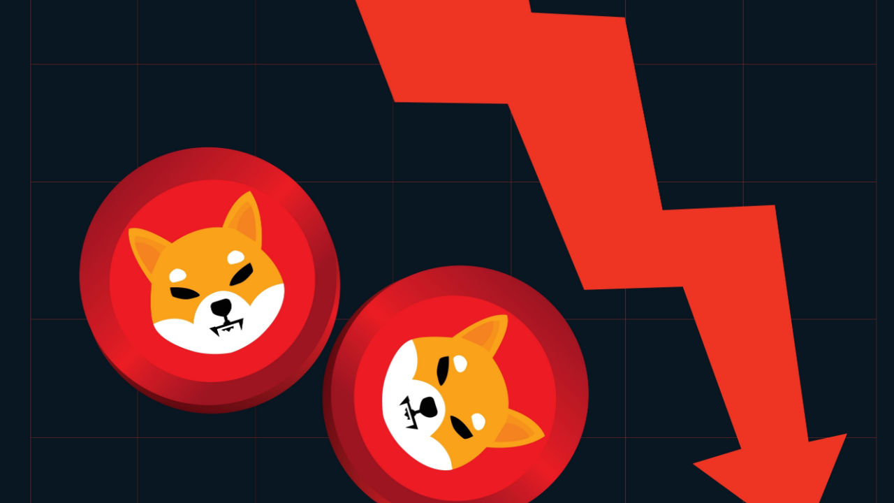 DOGE, SHIB Fall to Lowest Levels Since January – Bitcoin News