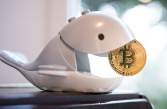 Bitcoin Whale Transfers $13 Million Worth of Dormant Coins Dating Back to 2012 and 2013