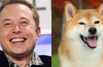 Dogecoin Down 8% as Musk’s Twitter Hype Fades