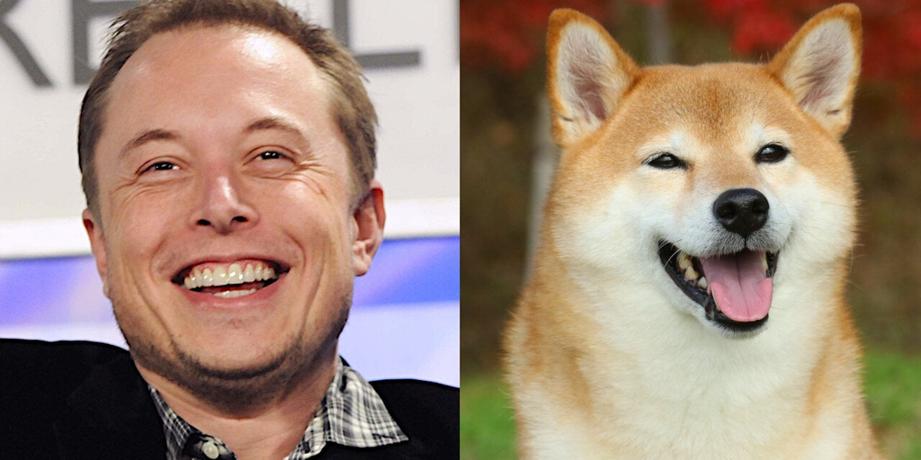 Dogecoin Down 8% as Musk’s Twitter Hype Fades