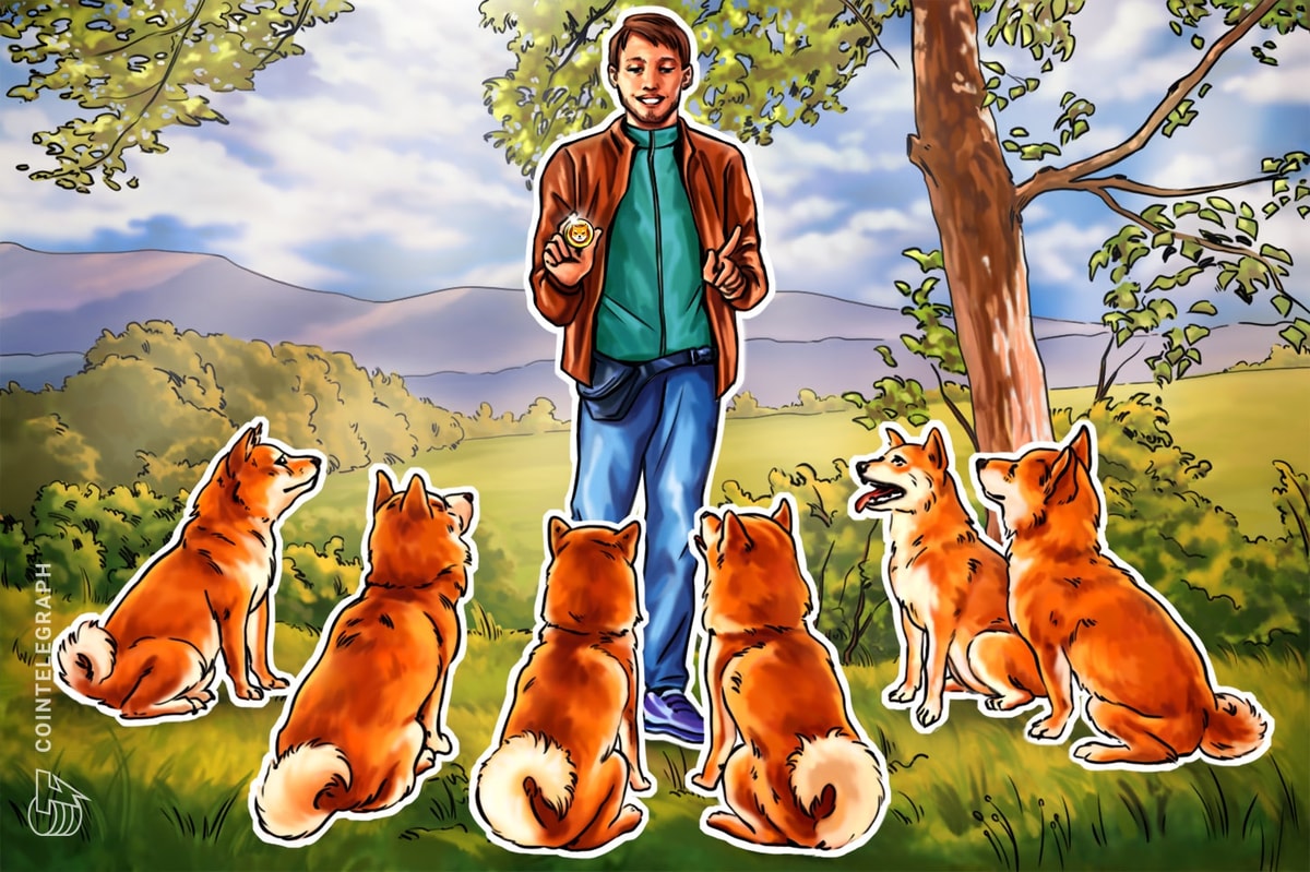 Will Shiba Inu tail Dogecoin's price rally?