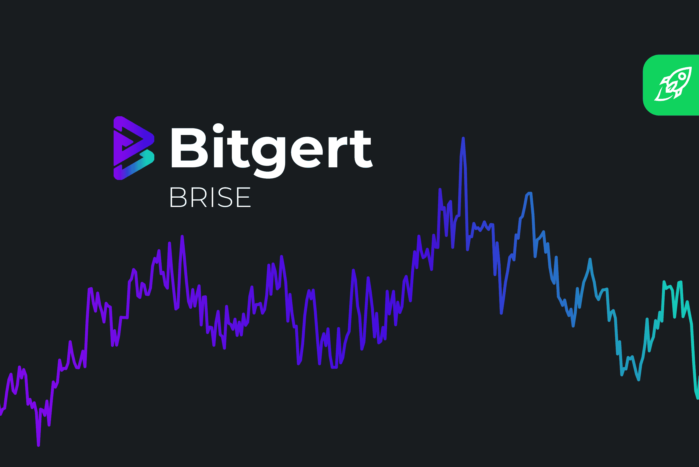 Bitgert (BRISE) Price Prediction 2022 2023 2024 2025