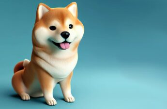 DRC20 Tokens Take Dogecoin Community by Storm, Driving Record-Breaking Daily Transactions on the Network