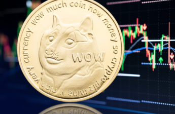 Is Elon Musk's Pick for New Twitter CEO a Dogecoin Maxi Too?