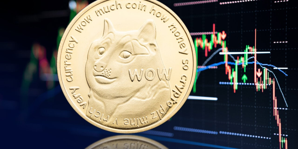 Is Elon Musk's Pick for New Twitter CEO a Dogecoin Maxi Too?