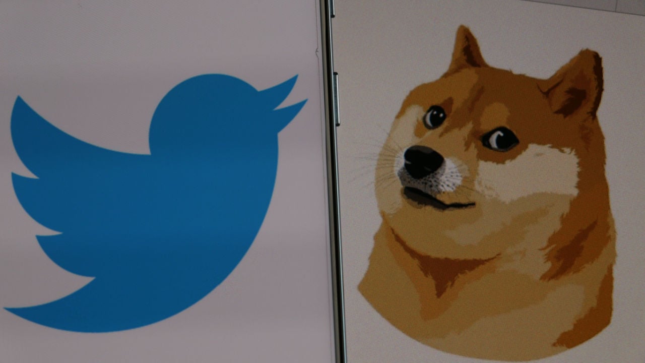 SHIB, DOGE Near Multi-Month Lows, as Musk Finds New Twitter CEO – Market Updates Bitcoin News