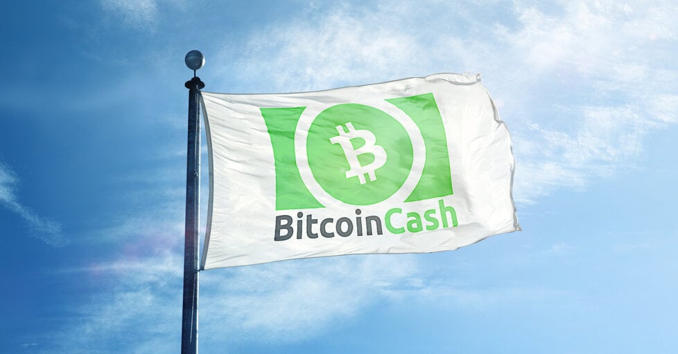 Bitcoin Cash (BCH) Surges 33.9% in 24 Hours on EDX Listing, S. Korean Surge