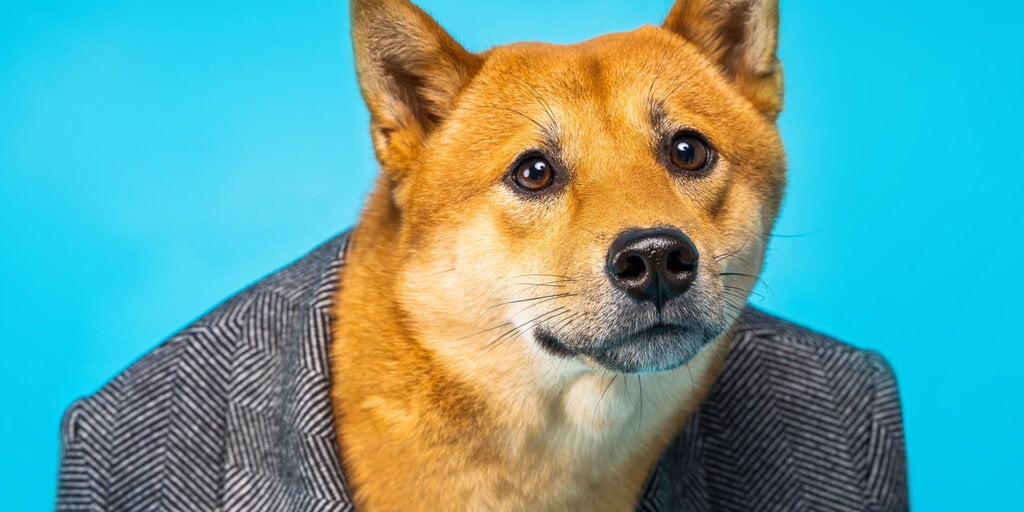 Elon Musk Denies Owning Dogecoin Stash Linked to Insider Trading