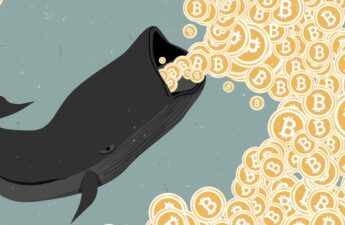 Bitcoin Whales Moved Nearly $60 Million In Five Days