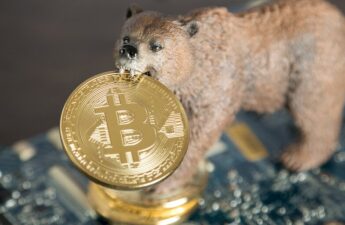 Bear Market 'Much Worse Than Expected’: Analysts Pitch New Bitcoin Economy Framework