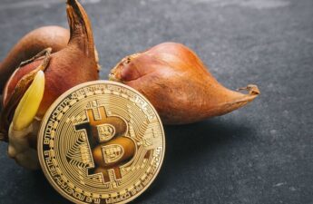 Craig Wright Admits to Stealing Millions in Bitcoin from Mt. Gox, Bitcoin Developers Claim