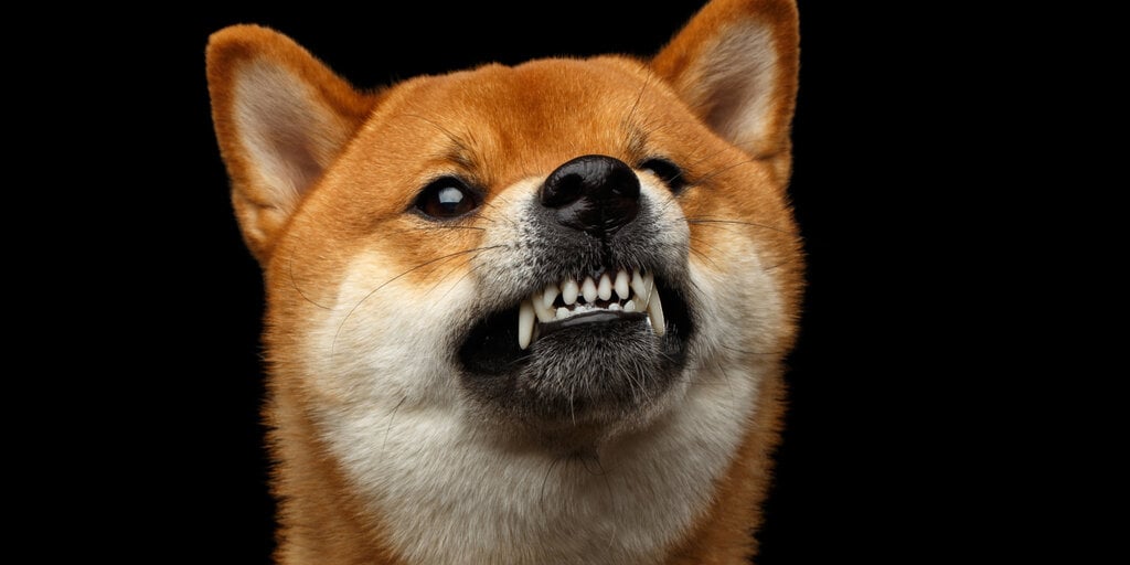 Dogecoin ‘Community Has Become Hyper Reactionary’ Over Proof-of-Stake Switch, Says Core Dev