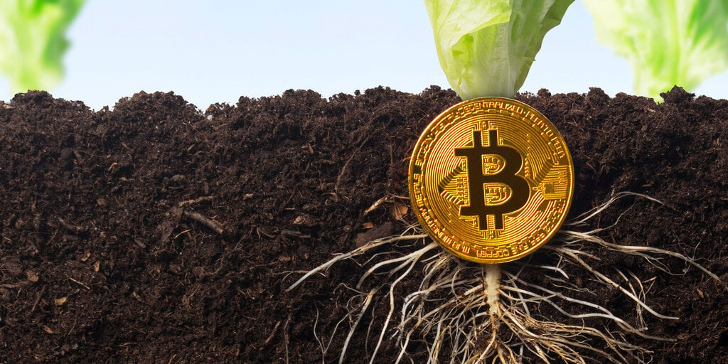 KPMG Bitcoin Report Marks 'A Milestone The Bitcoin Ecosystem Should Celebrate': Analyst