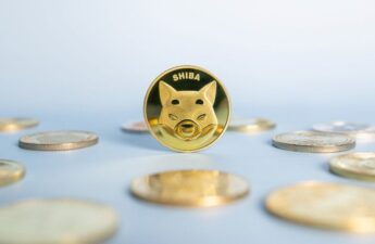 SHIB Surges 10% Over the Week Amid Push for Identity Service, Binance Integration