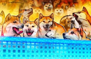 Shiba Inu hints at making Shibarium public soon