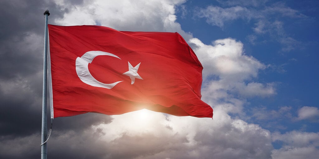 Half of the People in Turkey Now Own Crypto: Report