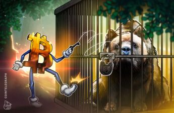 Web3’s resilience amidst the bear market: A promising horizon awaits