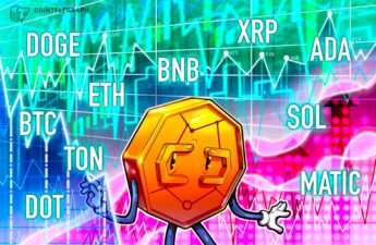 BTC, ETH, BNB, XRP, SOL, ADA, DOGE, TON, DOT, MATIC