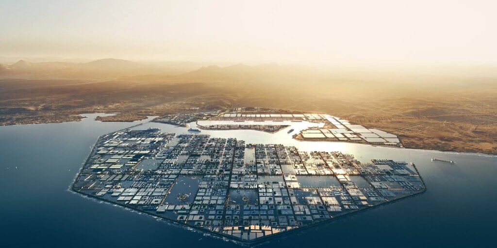 Saudi Arabia's Future City Neom Will Invest $50 Million in Metaverse Giant Animoca