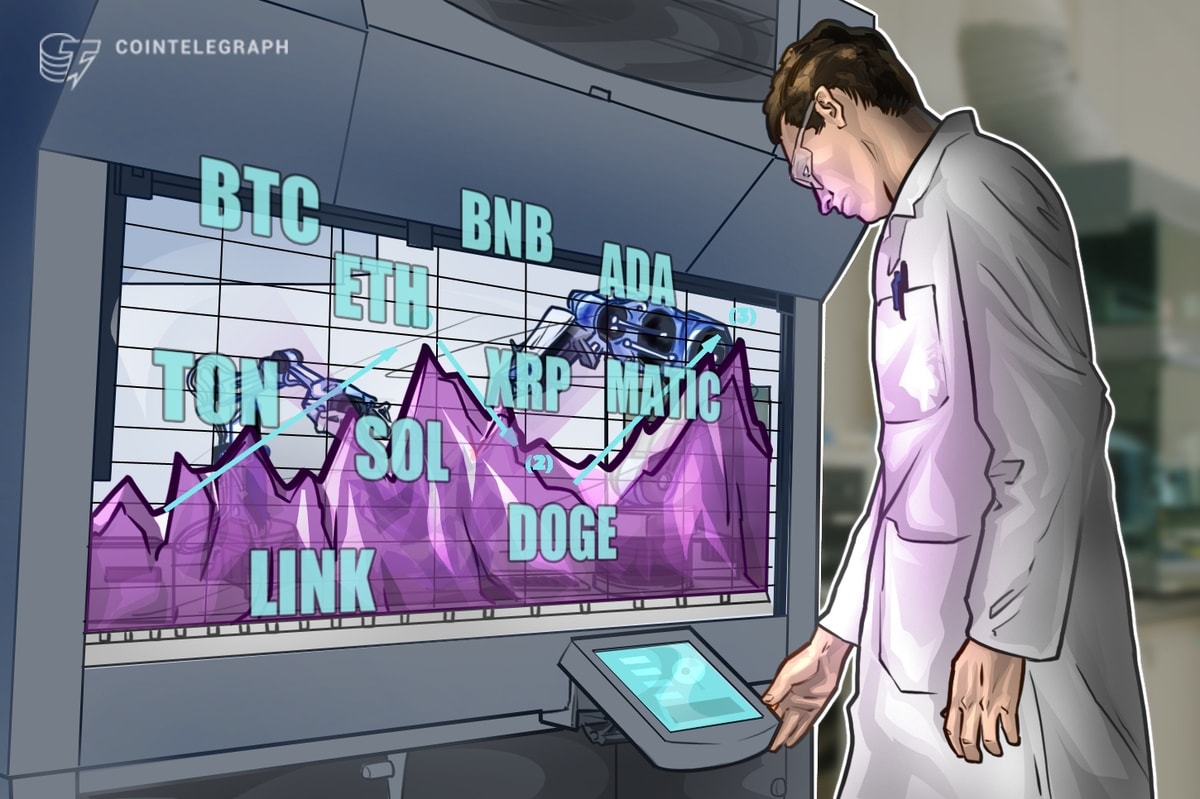 BTC, ETH, BNB, XRP, SOL, ADA, DOGE, TON, LINK, MATIC