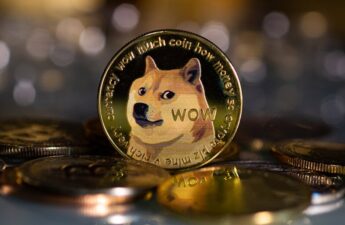 Dogecoin Sweepstakes Case Heads to the Supreme Court