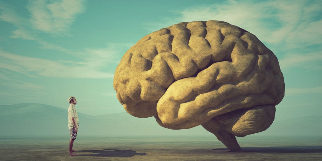 Dymension Gains 58% in First Day, But Questions Loom About Big Brain Staking