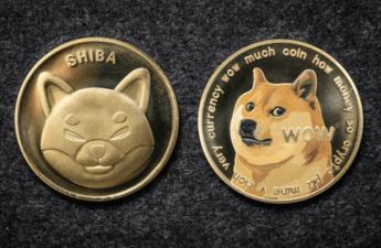 Dogecoin and Shiba Inu Pumping Again as Dogecoin20 ICO Nears 2M