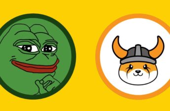 From Laughs to Loot: Meme Coins FLOKI and PEPE See Explosive Growth Amidst Crypto Surge