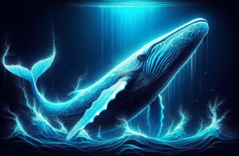 The Tale of the Mysterious 2010 Bitcoin Whale: A Pattern of Consistent Liquidation Uncovered