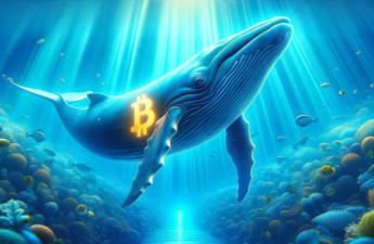 Who Is ‘Mr 100’, the Mysterious Bitcoin Whale That Now Holds $3 Billion?