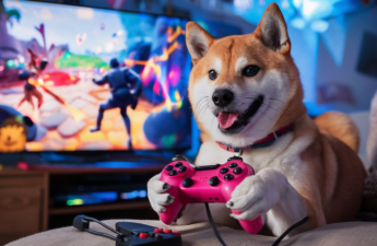 This Fortnite-Like Ethereum Game Is Adding a Doge World