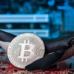 Bitcoin Whales Are Back to Buying Up BTC, Analysis Shows