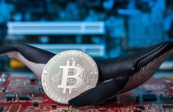 Bitcoin Whales Are Back to Buying Up BTC, Analysis Shows