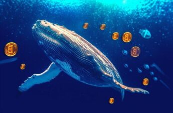 Bitcoin Whales