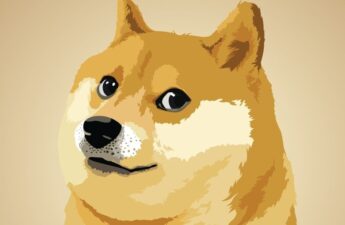 In Meme-oriam: Kabosu, Original Doge Who Inspired Dogecoin, Has Passed Away