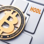 Long-Term Bitcoin Investors Have Returned To HODLing: Report
